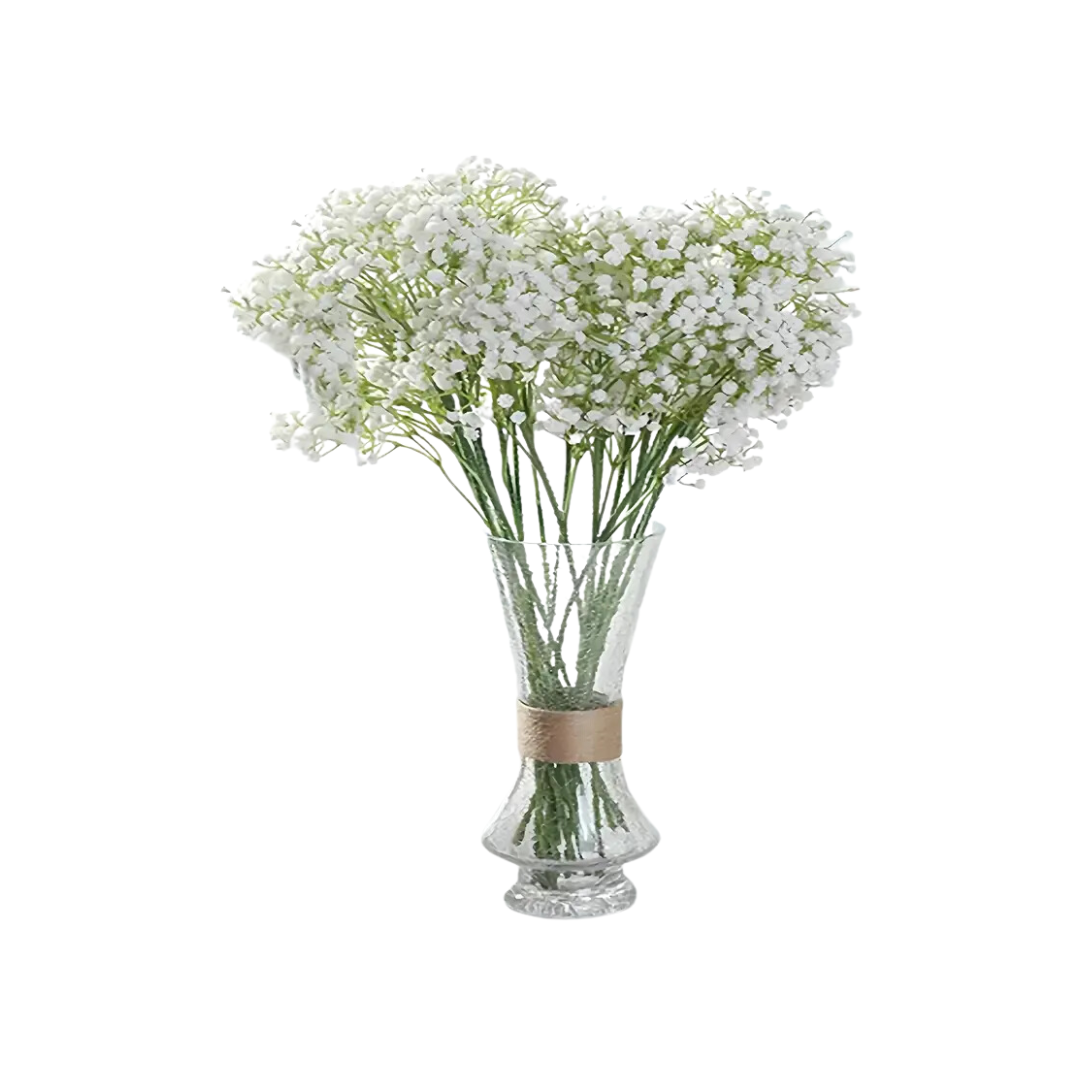 Baby's Breath Flower Stem